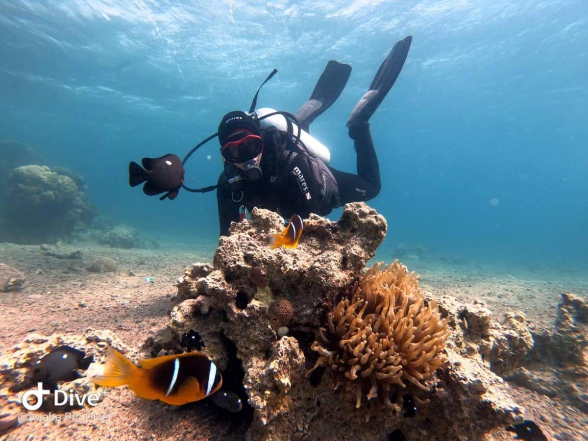 Aqaba Pro Divers Buitenkant foto