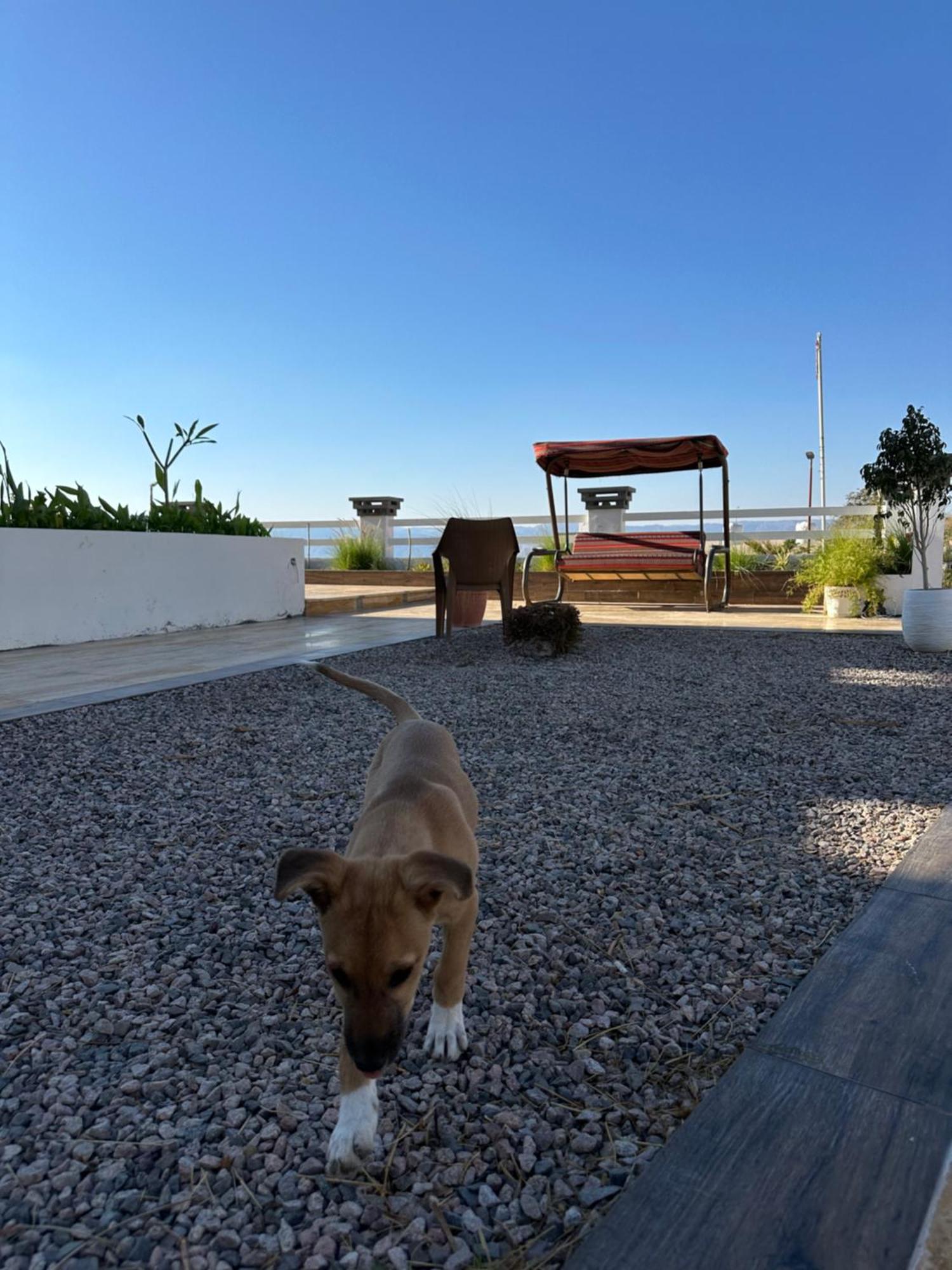 Aqaba Pro Divers Buitenkant foto